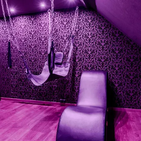 Appartement Escale Du Desir - Balancoire D'amour, Croix De Saint Andre, Menottes Et Fauteuil Tantra - Love-room-alsace-67